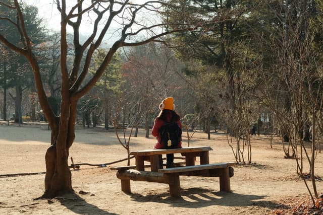 Nami Island