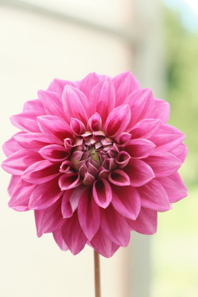 05 JUL 25